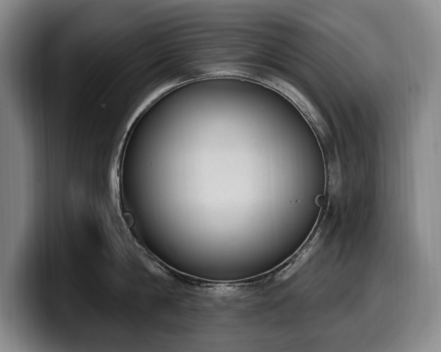 X0000100320814200806051515