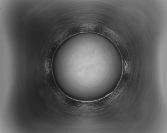 X0000100320819200806051515