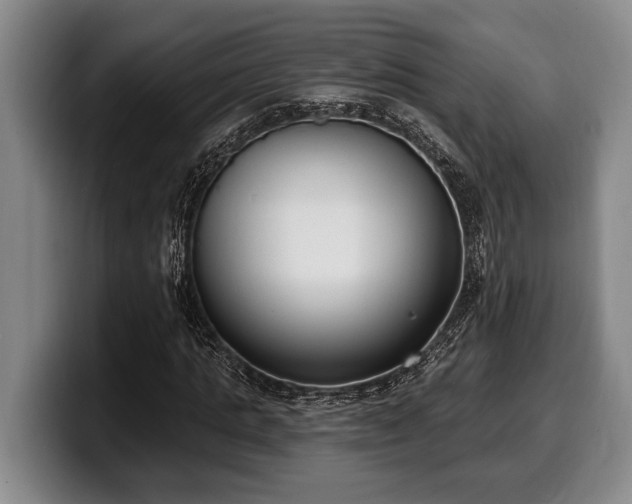 X0000100320821200806051515