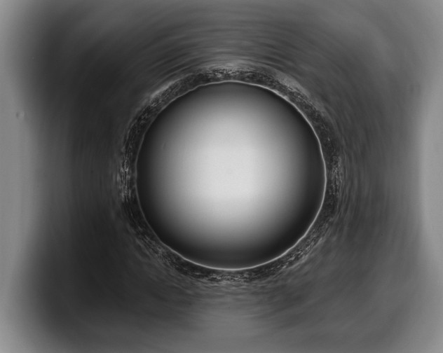 X0000100320822200806051515