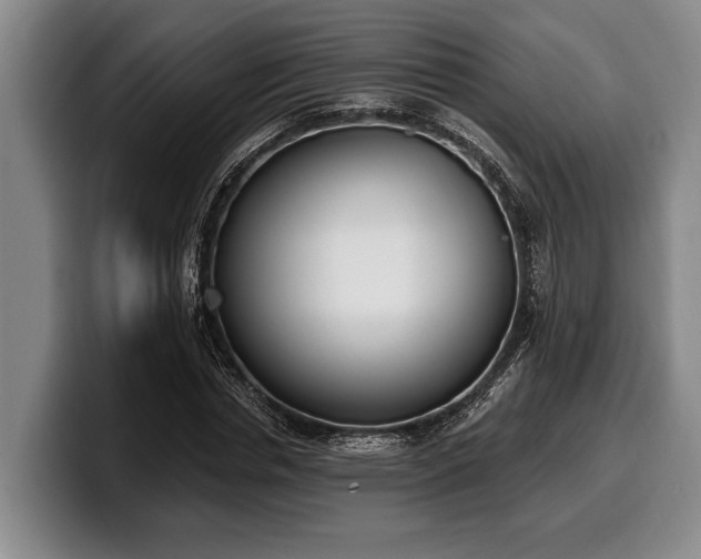 X0000100320826200806051515