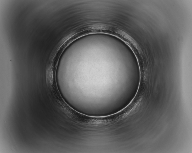 X0000100320829200806051515