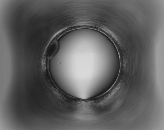 X0000100320830200806051515