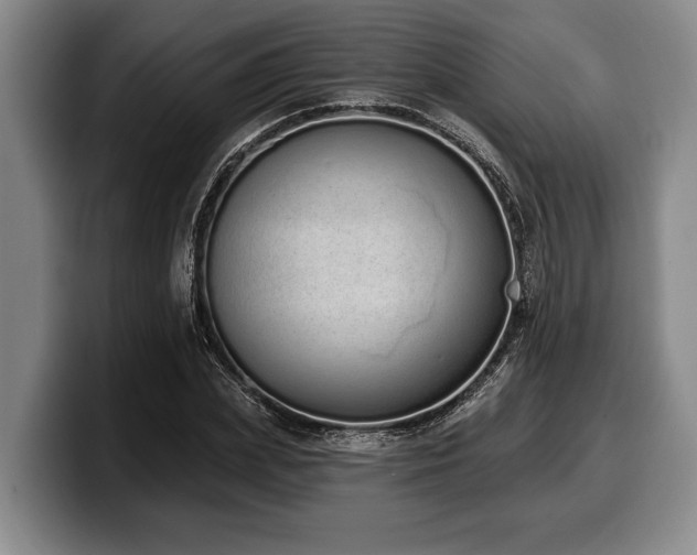 X0000100320831200806051515