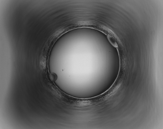 X0000100320833200806051515