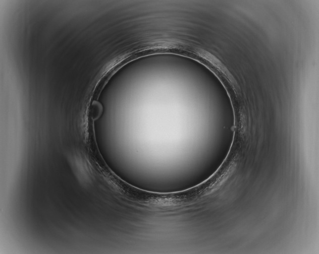 X0000100320834200806051515