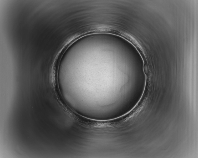 X0000100320835200806051515