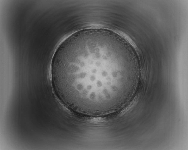 X0000100320839200806051515