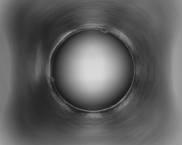 X0000100320844200806051515