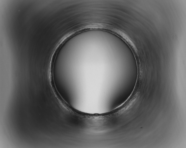 X0000100320845200806051515