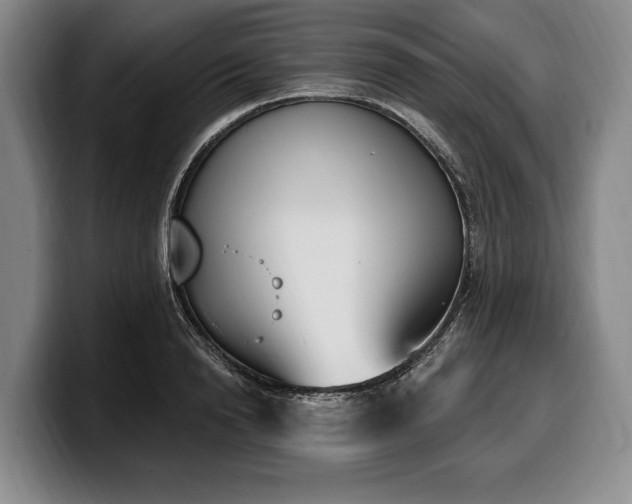 X0000100320846200806051515