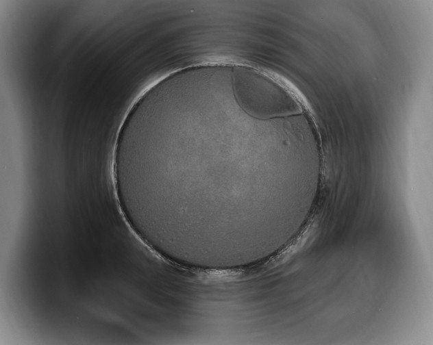 X0000100320847200806051515