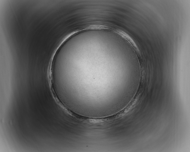 X0000100320852200806051515