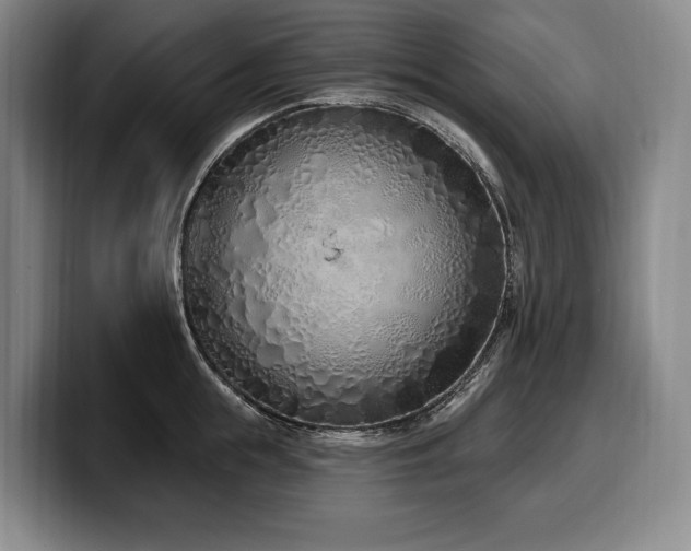 X0000100320855200806051515