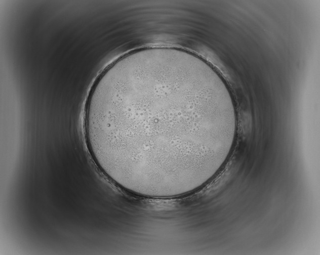 X0000100320856200806051515