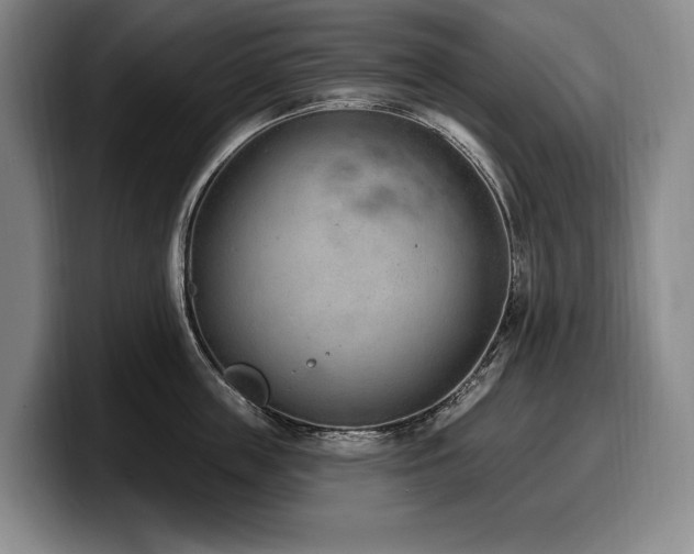 X0000100320859200806051515