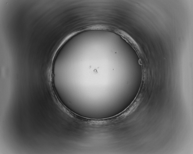 X0000100320860200806051515