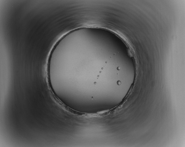 X0000100320864200806051515