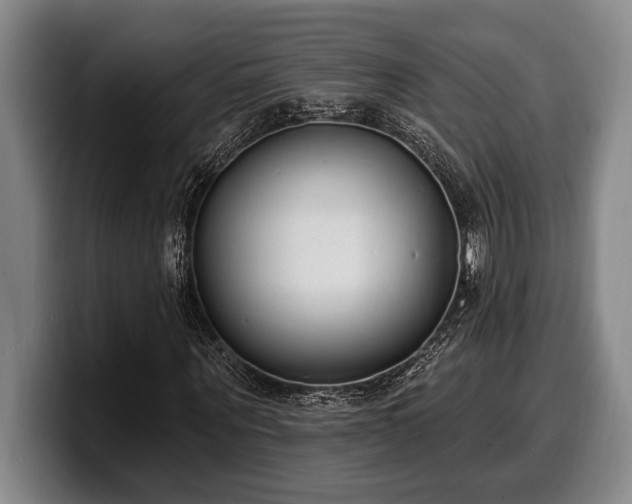 X0000100320867200806051515