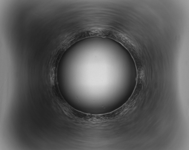 X0000100320868200806051515