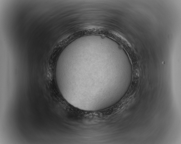 X0000100320869200806051515