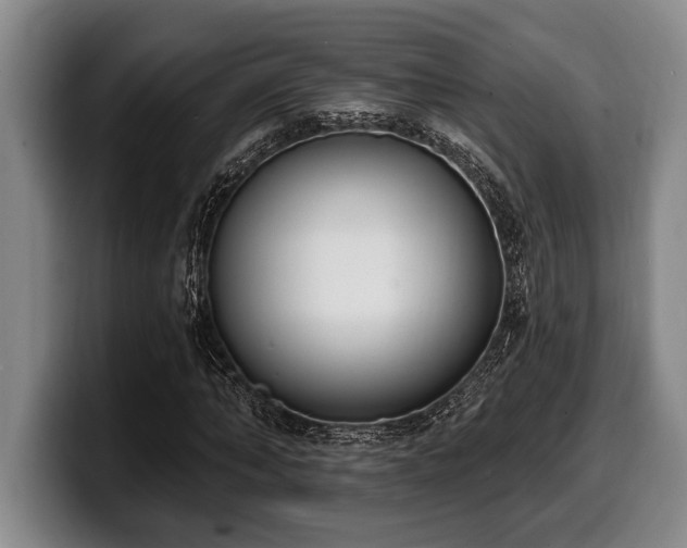 X0000100320870200806051515