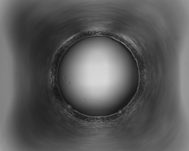 X0000100320872200806051515