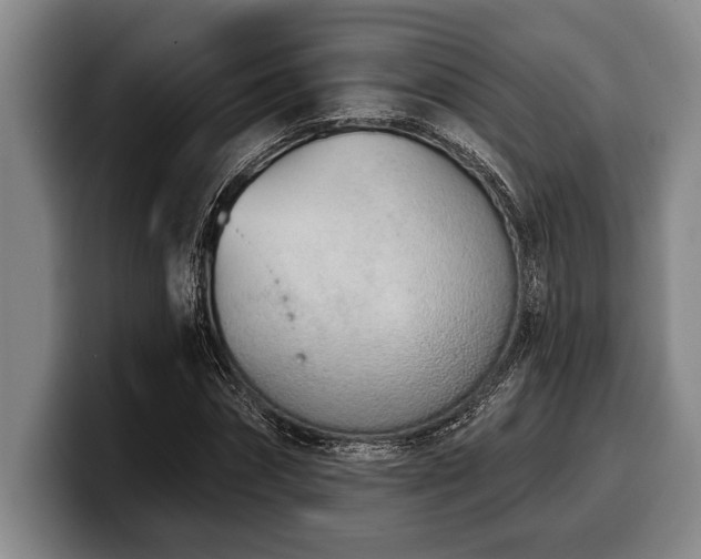 X0000100320874200806051515