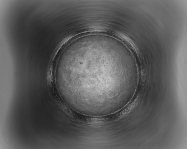 X0000100320875200806051515