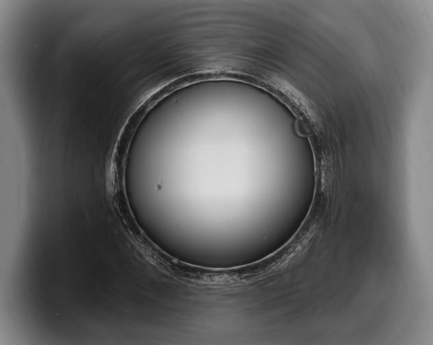 X0000100320876200806051515