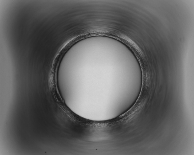 X0000100320878200806051515