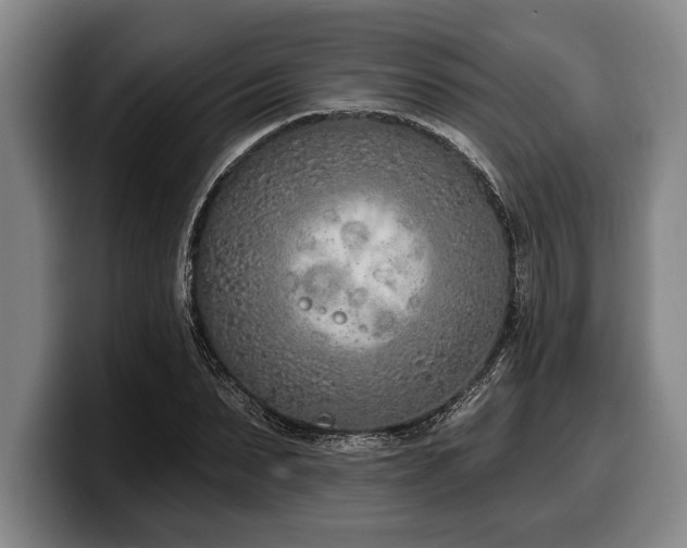 X0000100320879200806051515