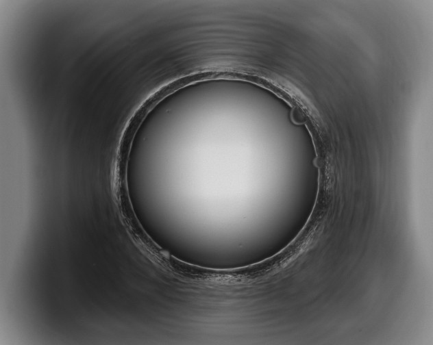 X0000100320880200806051515