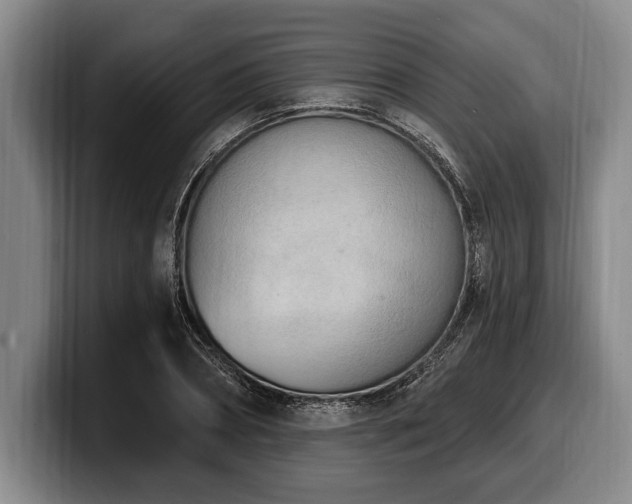 X0000100320882200806051515