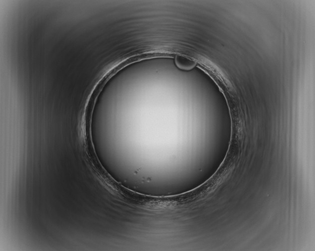 X0000100320884200806051515