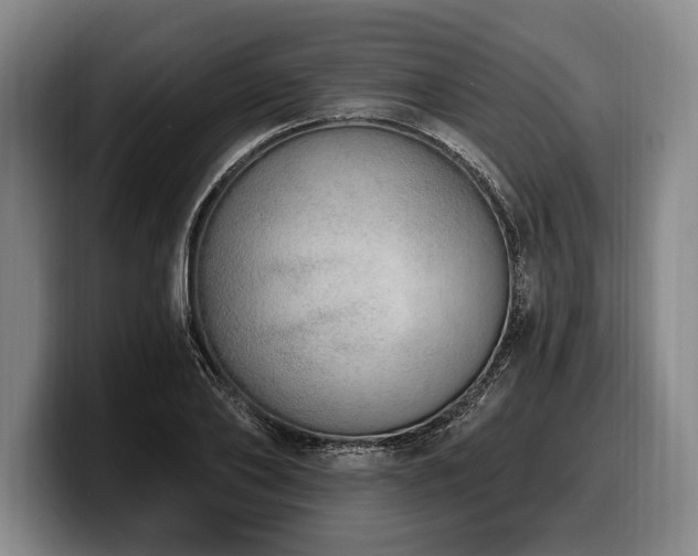 X0000100320886200806051514