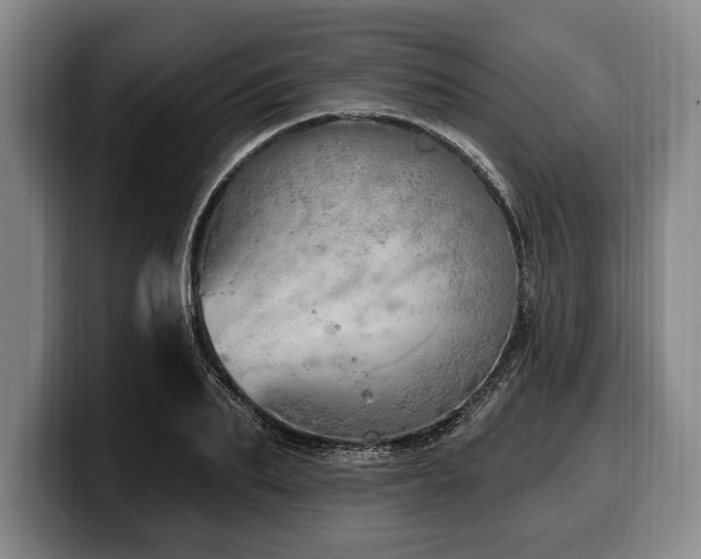 X0000100320887200806051514