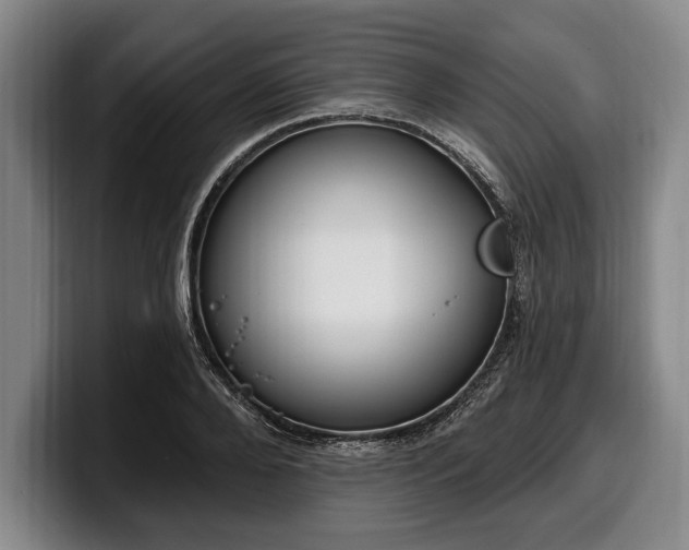 X0000100320888200806051514