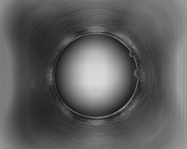 X0000100320889200806051514