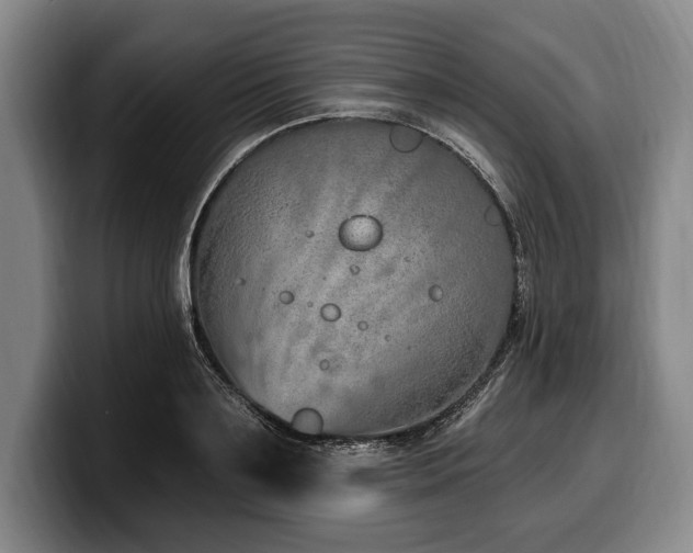 X0000100320891200806051514