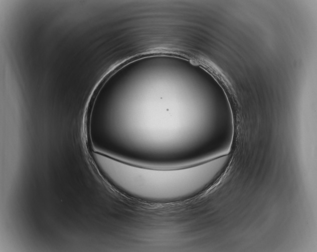 X0000100320892200806051514