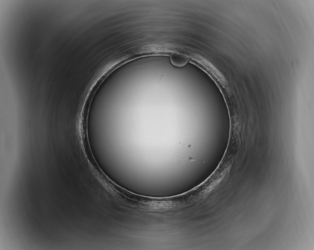 X0000100320893200806051514