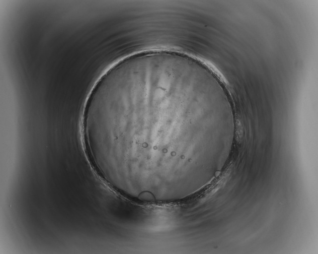 X0000100320895200806051514