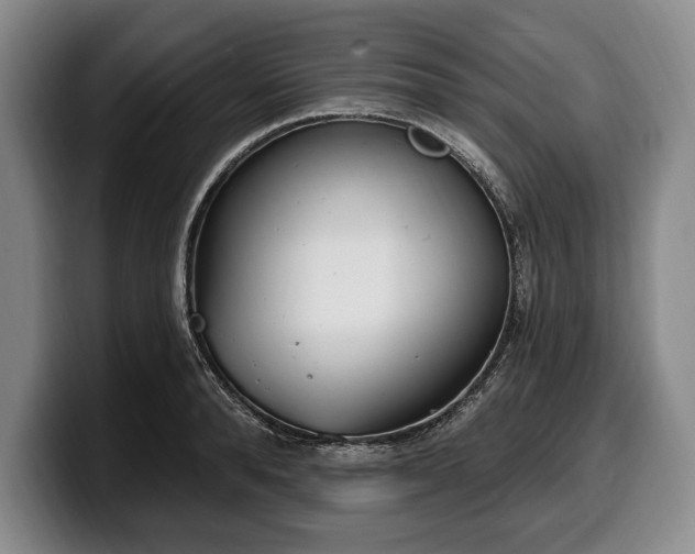 X0000100320896200806051514