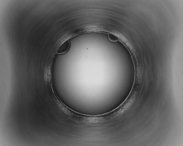 X0000100320897200806051514