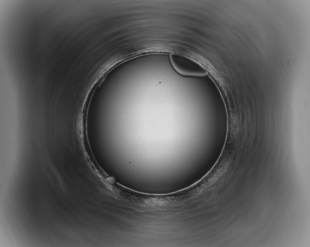 X0000100320898200806051514