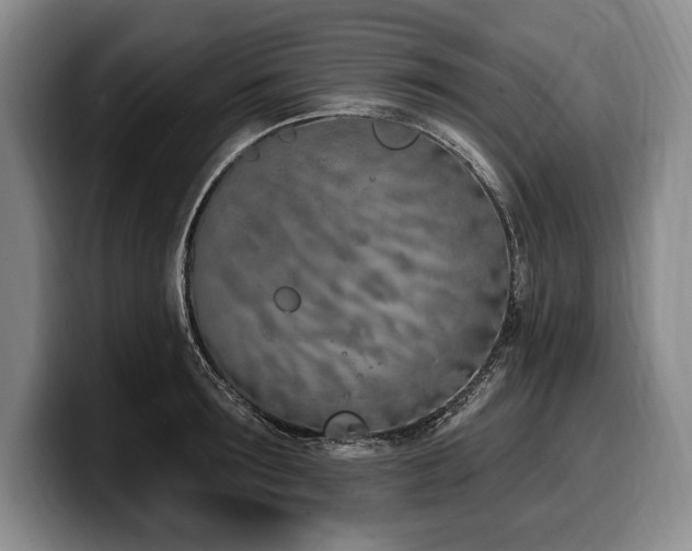 X0000100320899200806051514