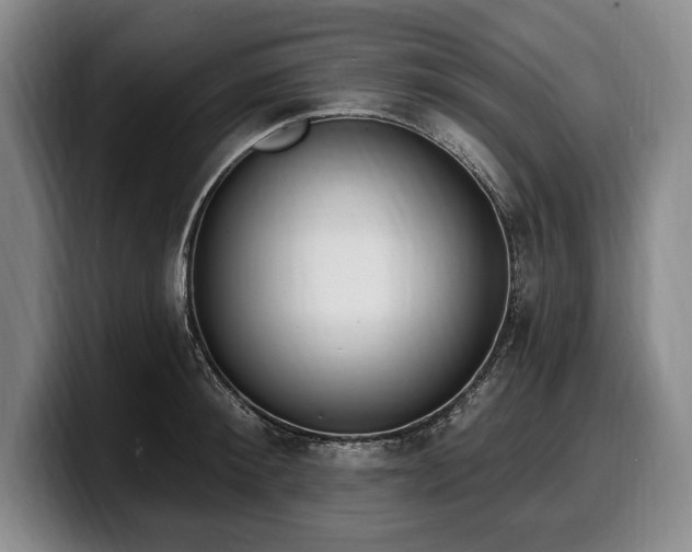 X0000100320900200806051514