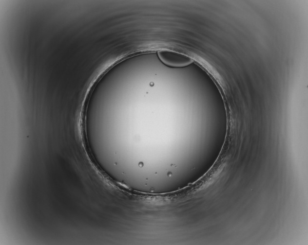 X0000100320901200806051514