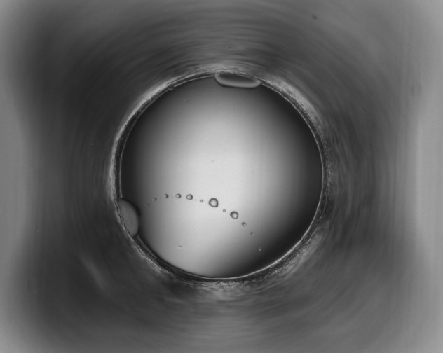 X0000100320902200806051514